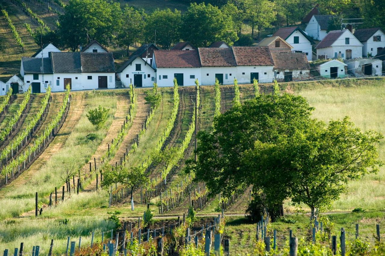 Weinhotel Rieder Poysdorf Exterior foto